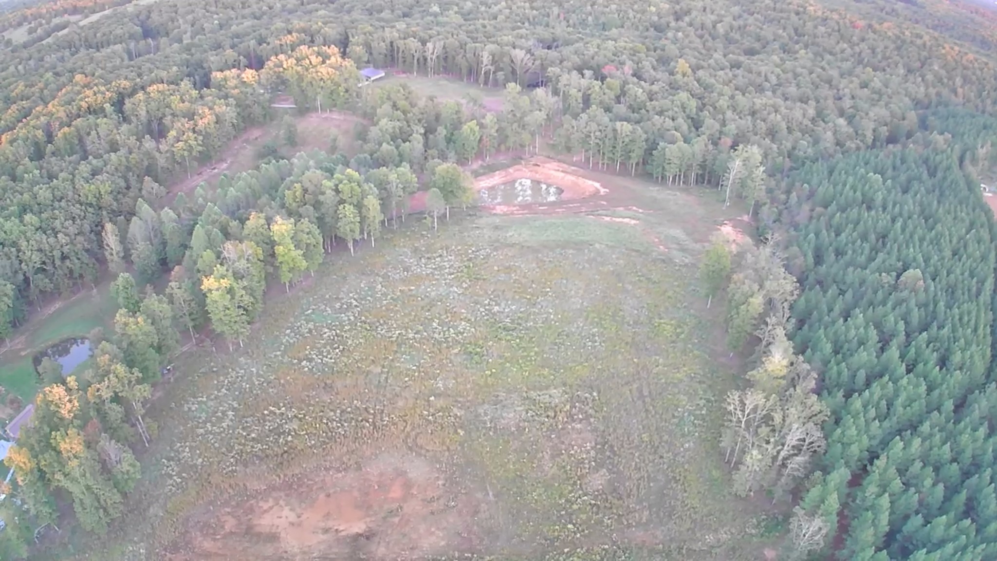 1450 Tummins Road McEwen, TN 37101 - Photo 9 of 11 a view of a dry yard with trees