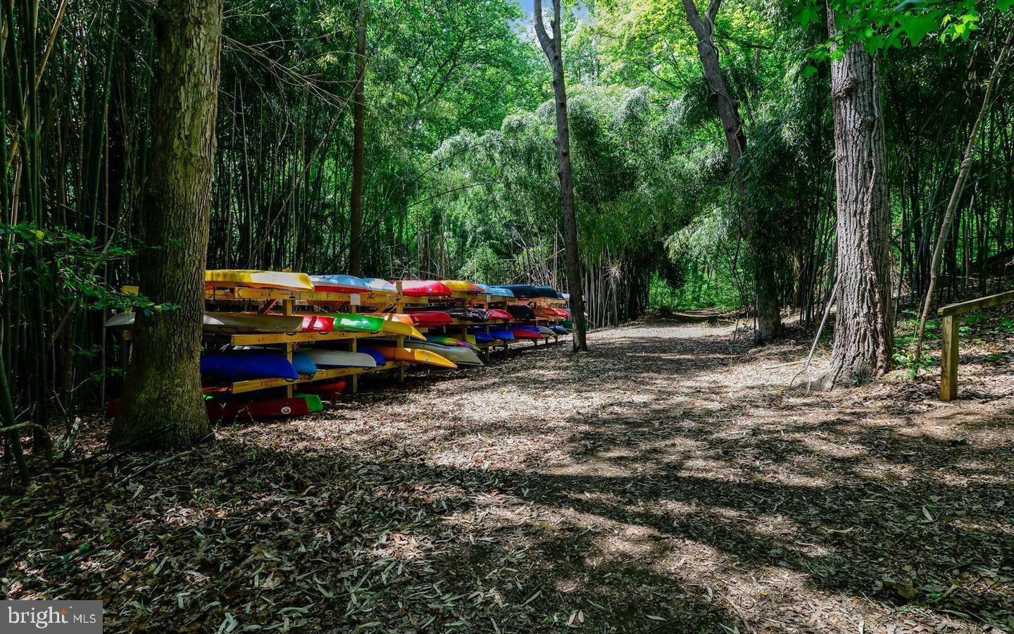2708 Summerview Way Annapolis, MD 21401 - Photo 21 of 24 Colorful kayaks nestled in a serene forest.