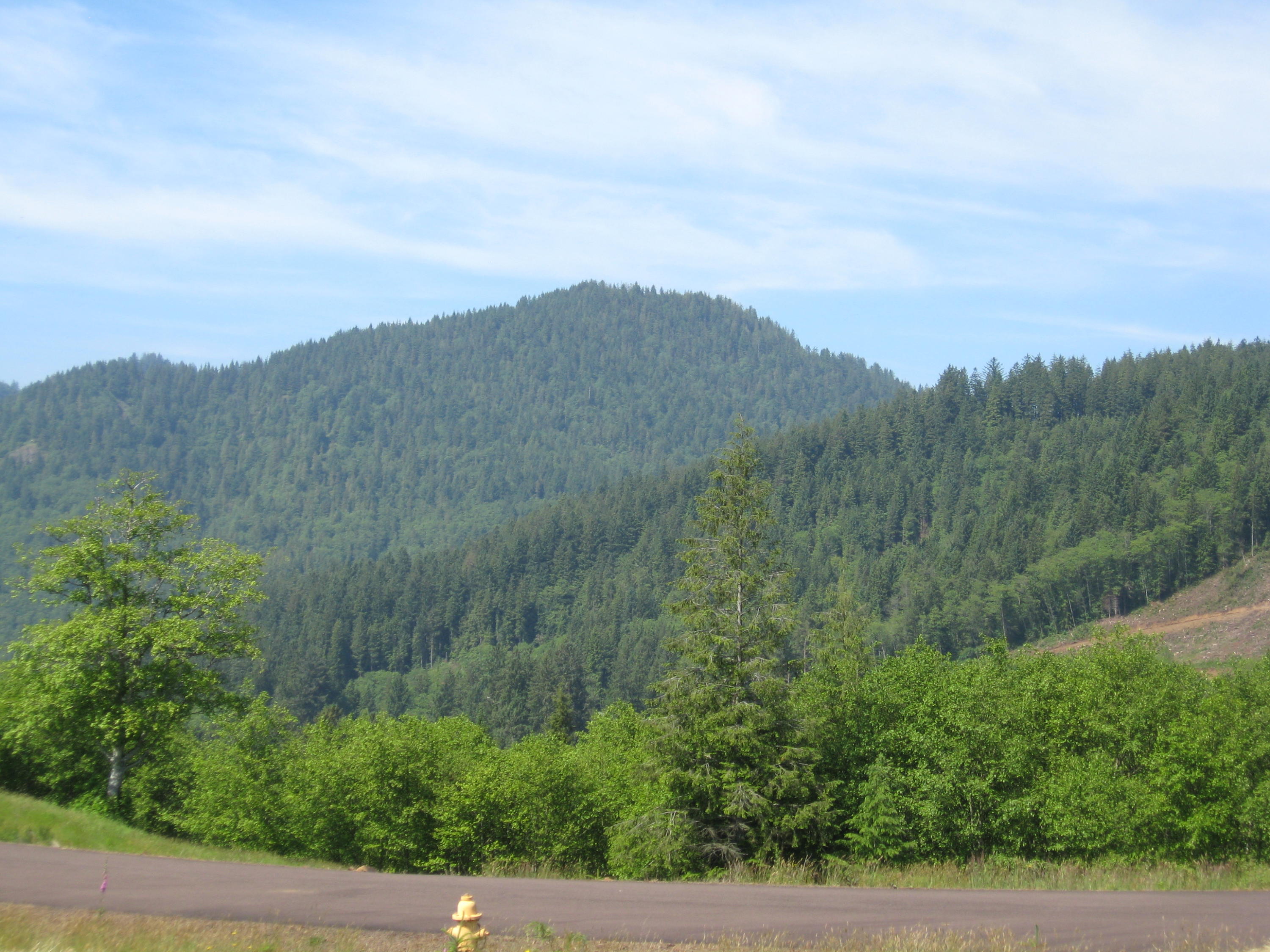 Lot Skyview Lot Skyview Road Tillamook, OR 97141 - Photo 7 of 20 023
