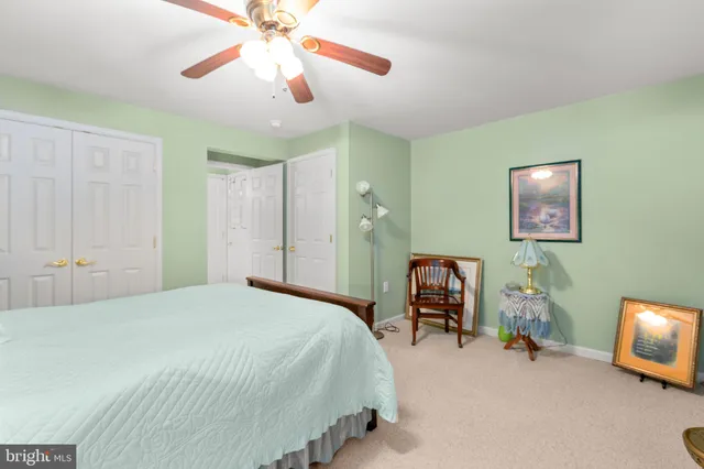 a view of a yard in front of a house with a large tree