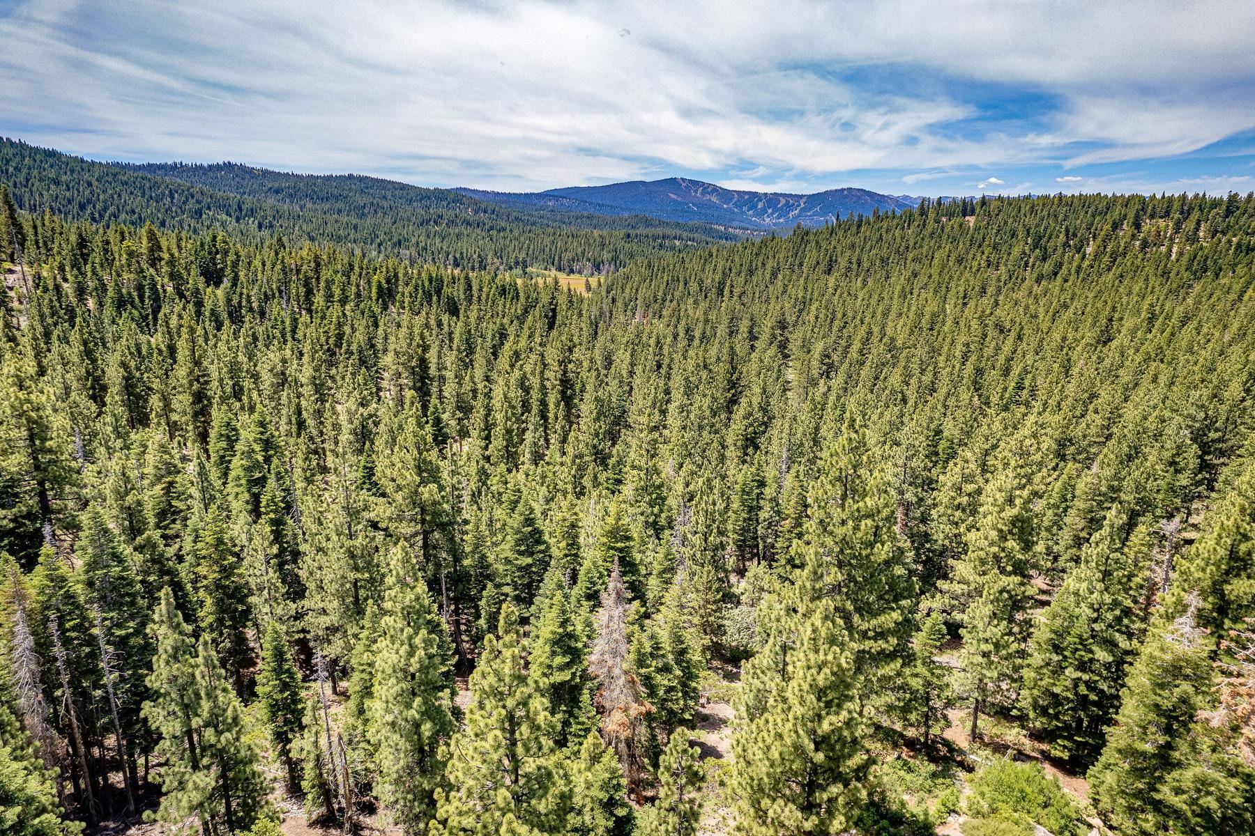 16145 Martis Peak Road Truckee, CA 96161 - Photo 7 of 21