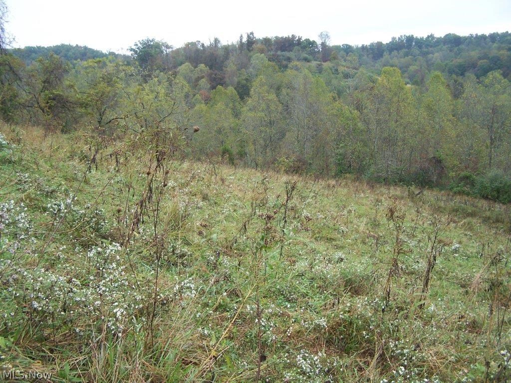 8426 Charleston Road Walton, WV 25286 - Photo 12 of 18