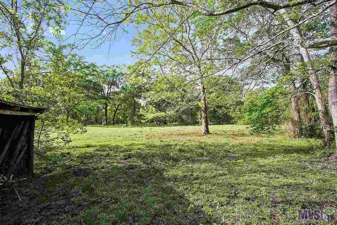 44199 Stringer Bridge Road St. Amant, LA 70774 - Photo 5 of 10 Gallery Image 5
