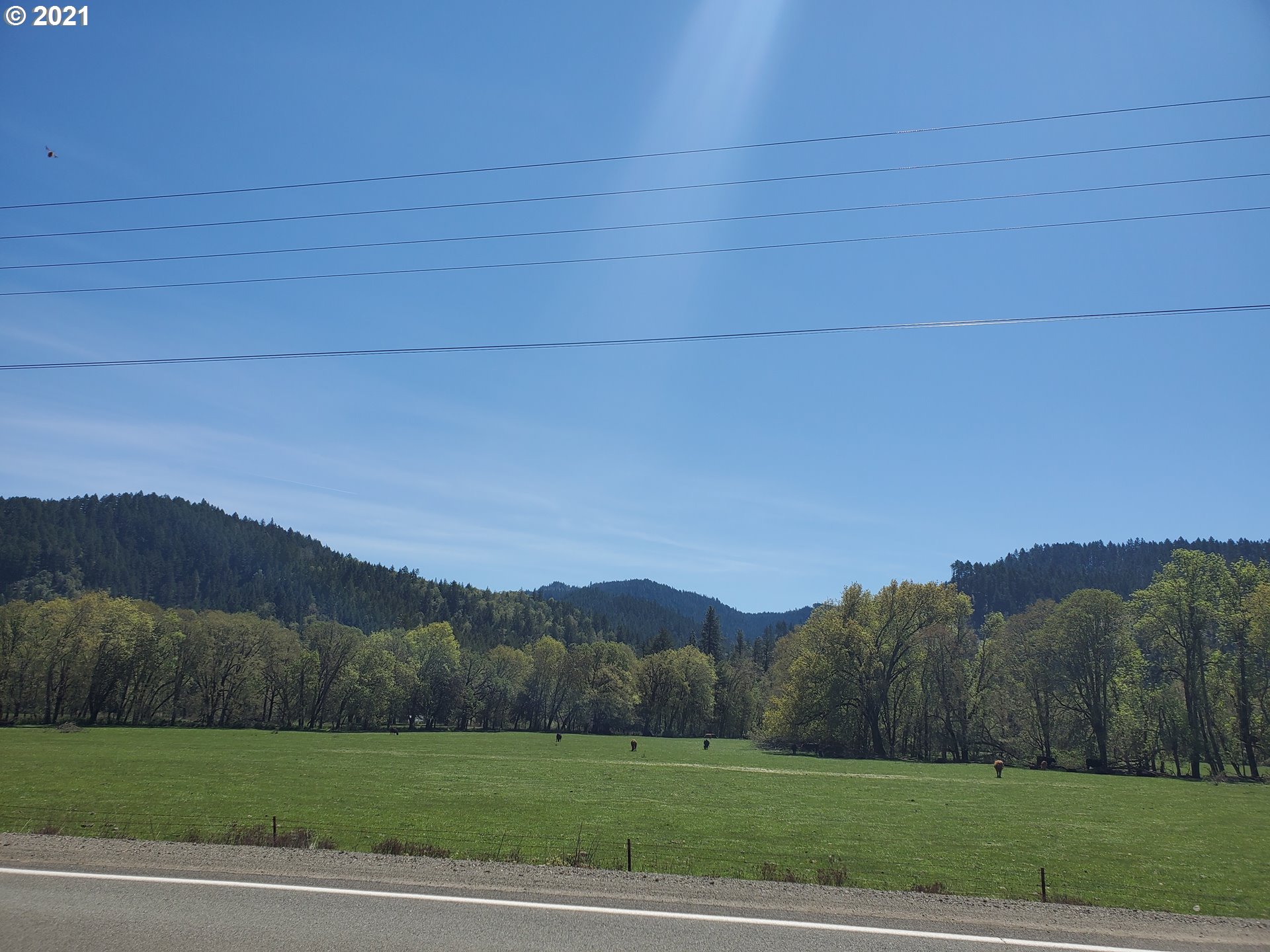 4189 Upper Olalla Road Winston, OR 97496 - Photo 2 of 32 a view of a grassy field