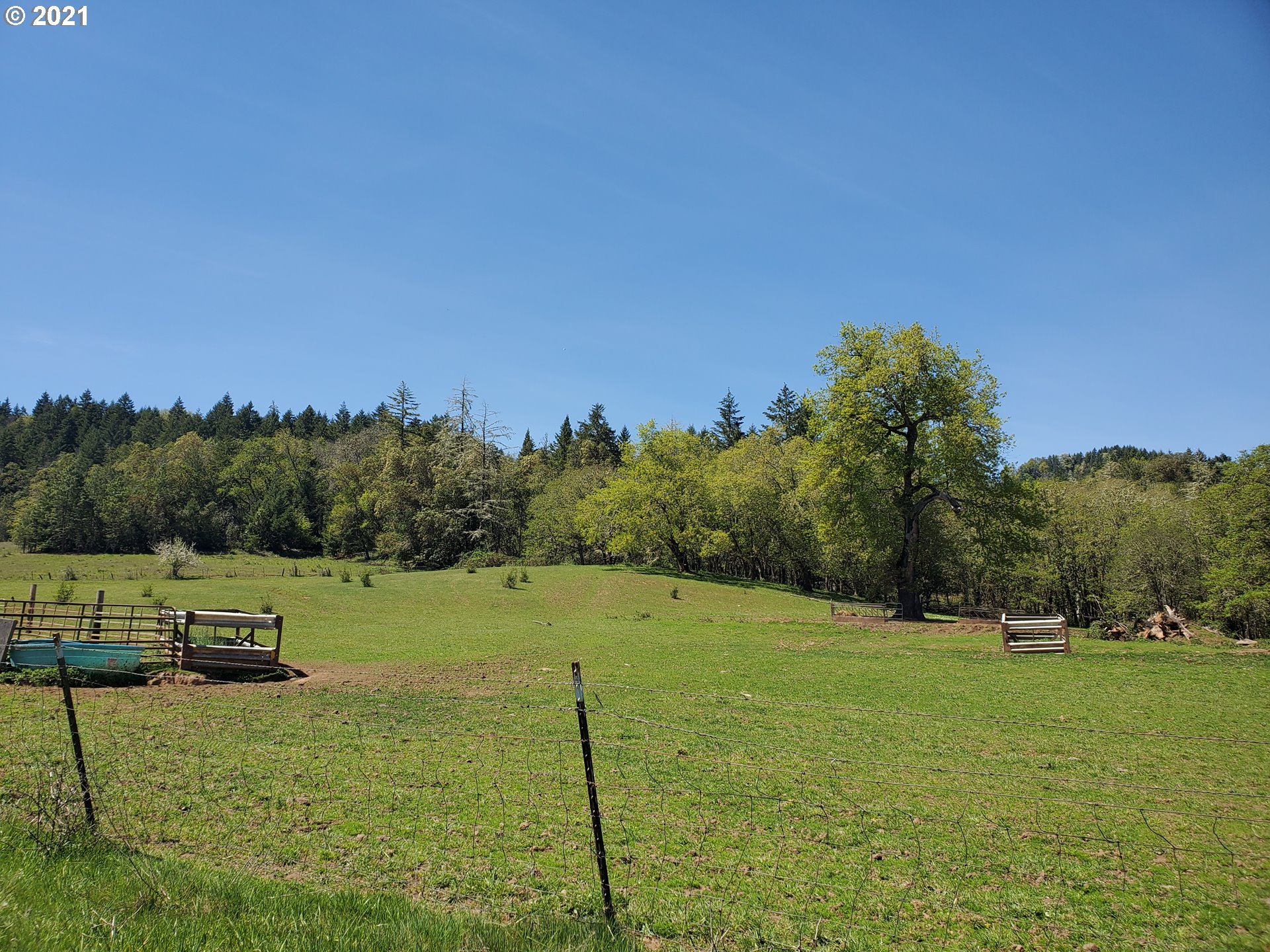 4189 Upper Olalla Road Winston, OR 97496 - Photo 16 of 32 a view of an outdoor space and a yard