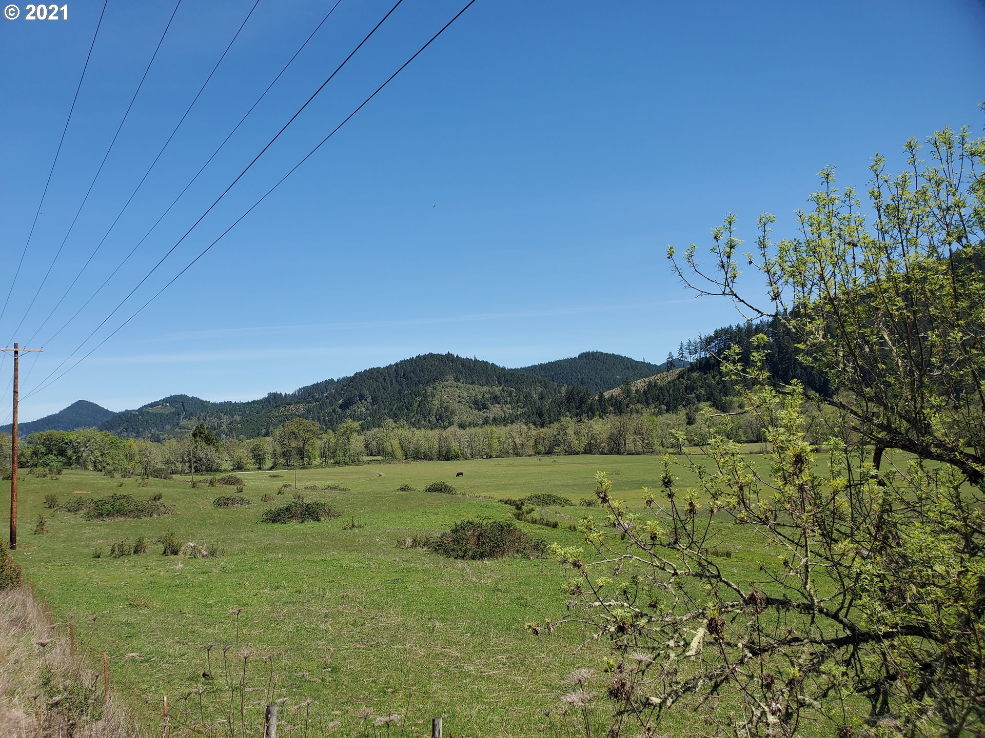4189 Upper Olalla Road Winston, OR 97496 - Photo 18 of 32 a view of mountain with outdoor space