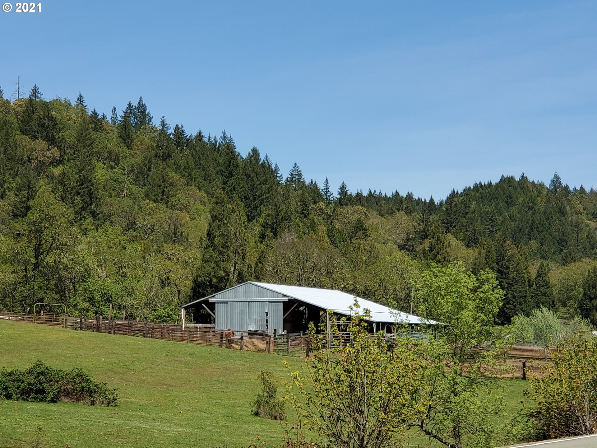 4189 Upper Olalla Road Winston, OR 97496 - Photo 19 of 32 a backyard of a house with lots of green space