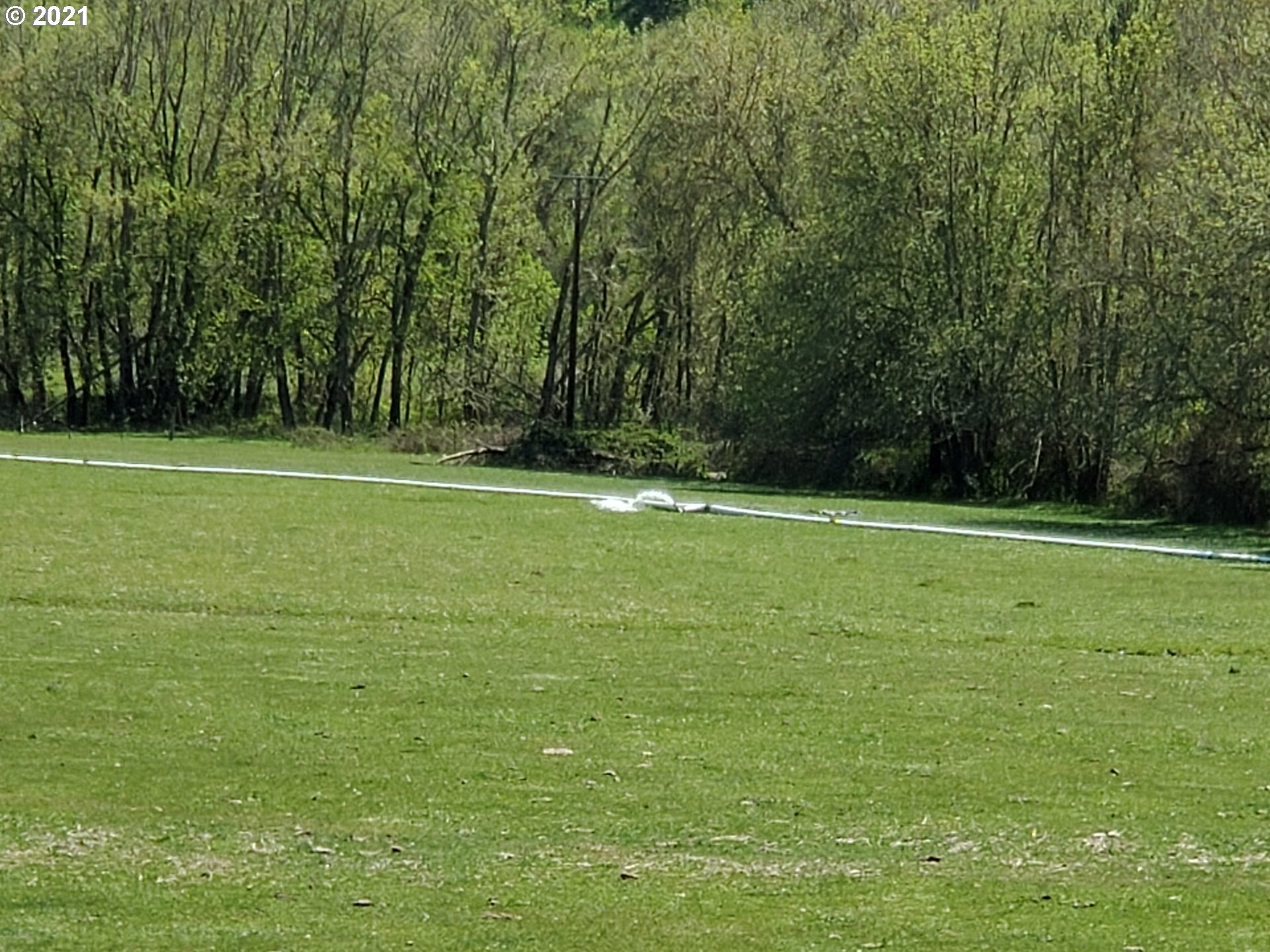 4189 Upper Olalla Road Winston, OR 97496 - Photo 20 of 32 a view of a field with a trees in the background
