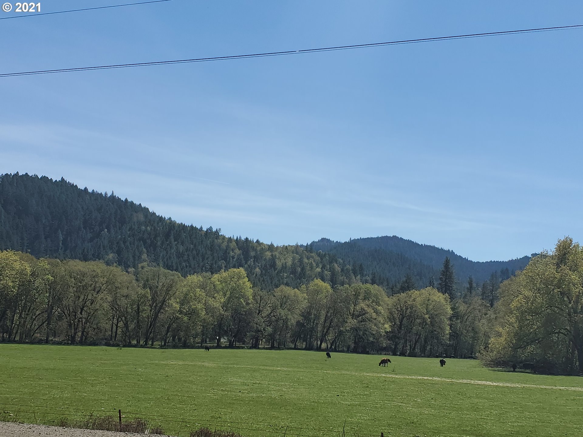 4189 Upper Olalla Road Winston, OR 97496 - Photo 3 of 32 a view of a backyard