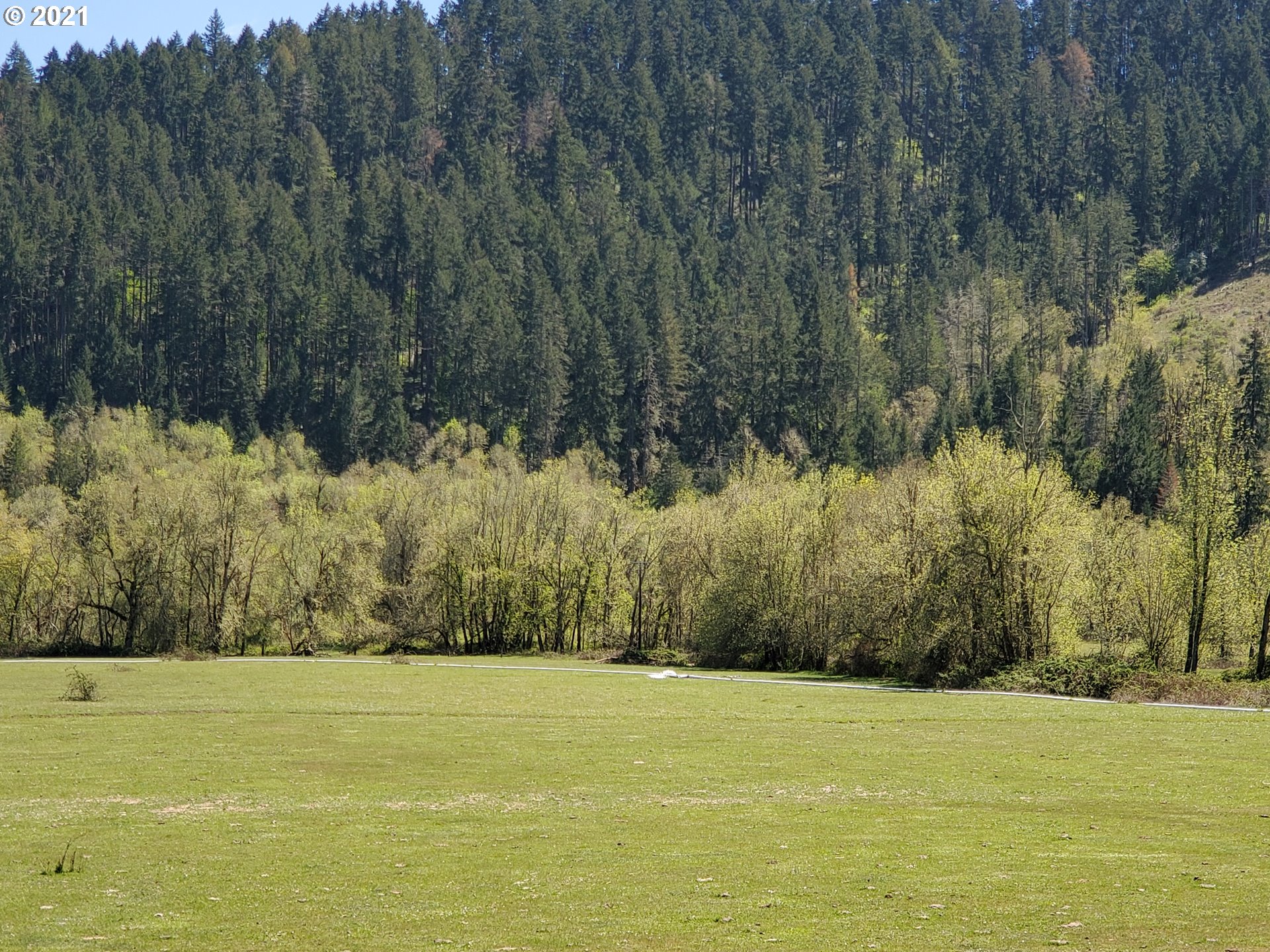 4189 Upper Olalla Road Winston, OR 97496 - Photo 21 of 32 a view of a yard