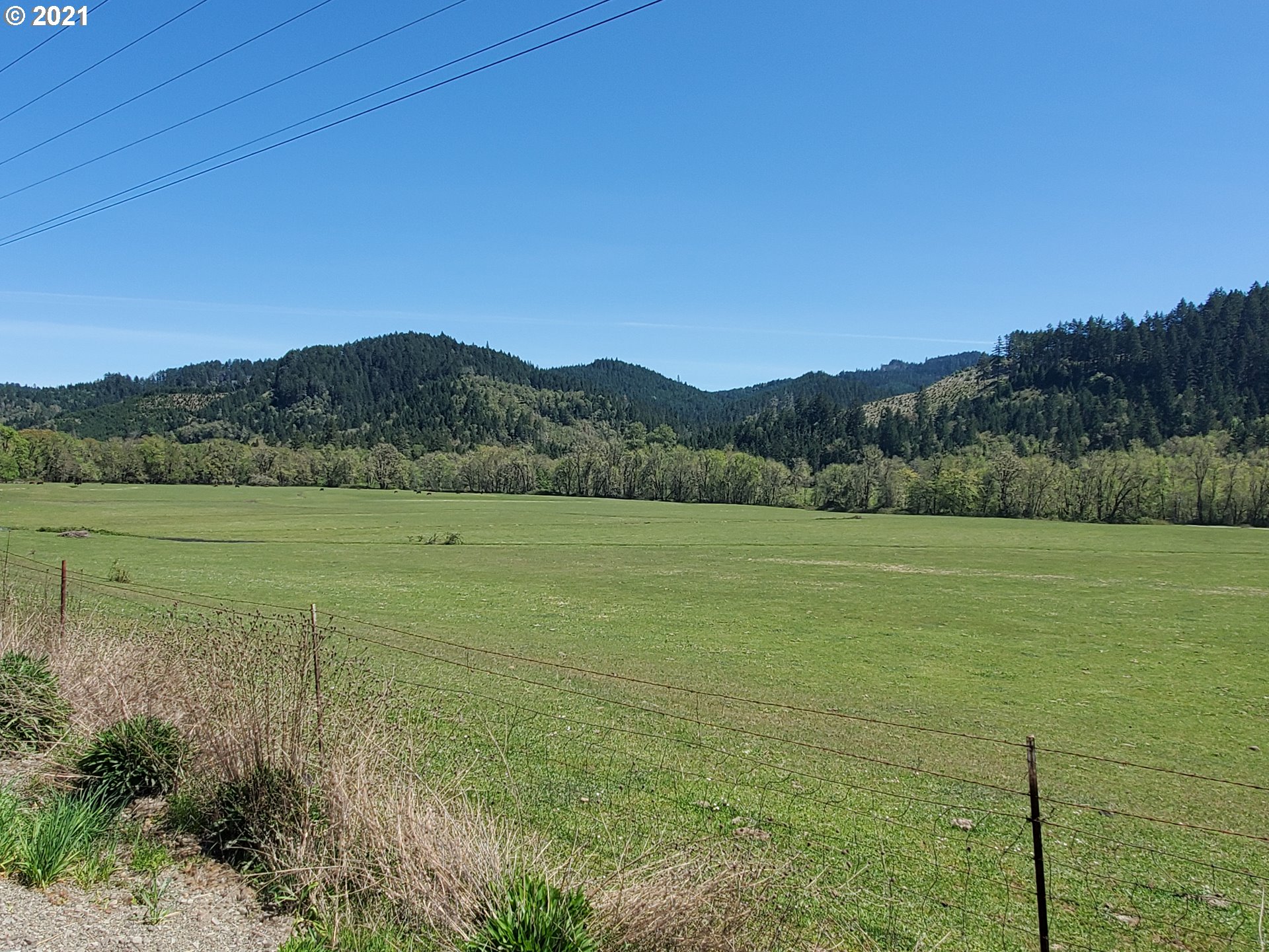 4189 Upper Olalla Road Winston, OR 97496 - Photo 22 of 32 a view of a lake with a mountain