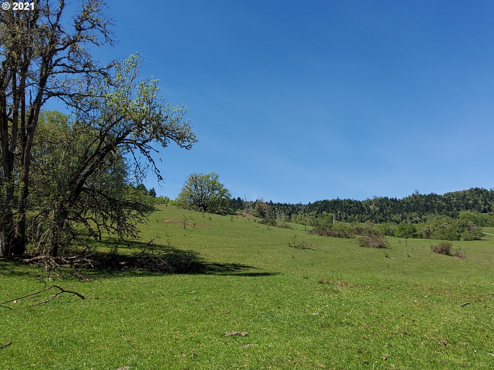 4189 Upper Olalla Road Winston, OR 97496 - Photo 23 of 32 a view of a green field with wooden fence