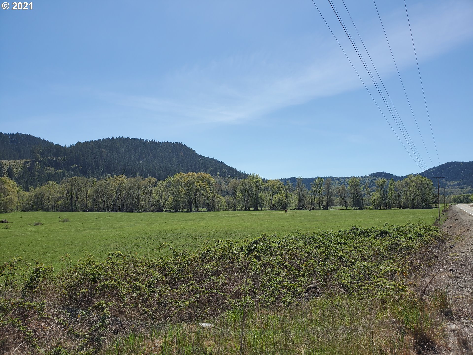 4189 Upper Olalla Road Winston, OR 97496 - Photo 24 of 32 a view of outdoor space and mountain view