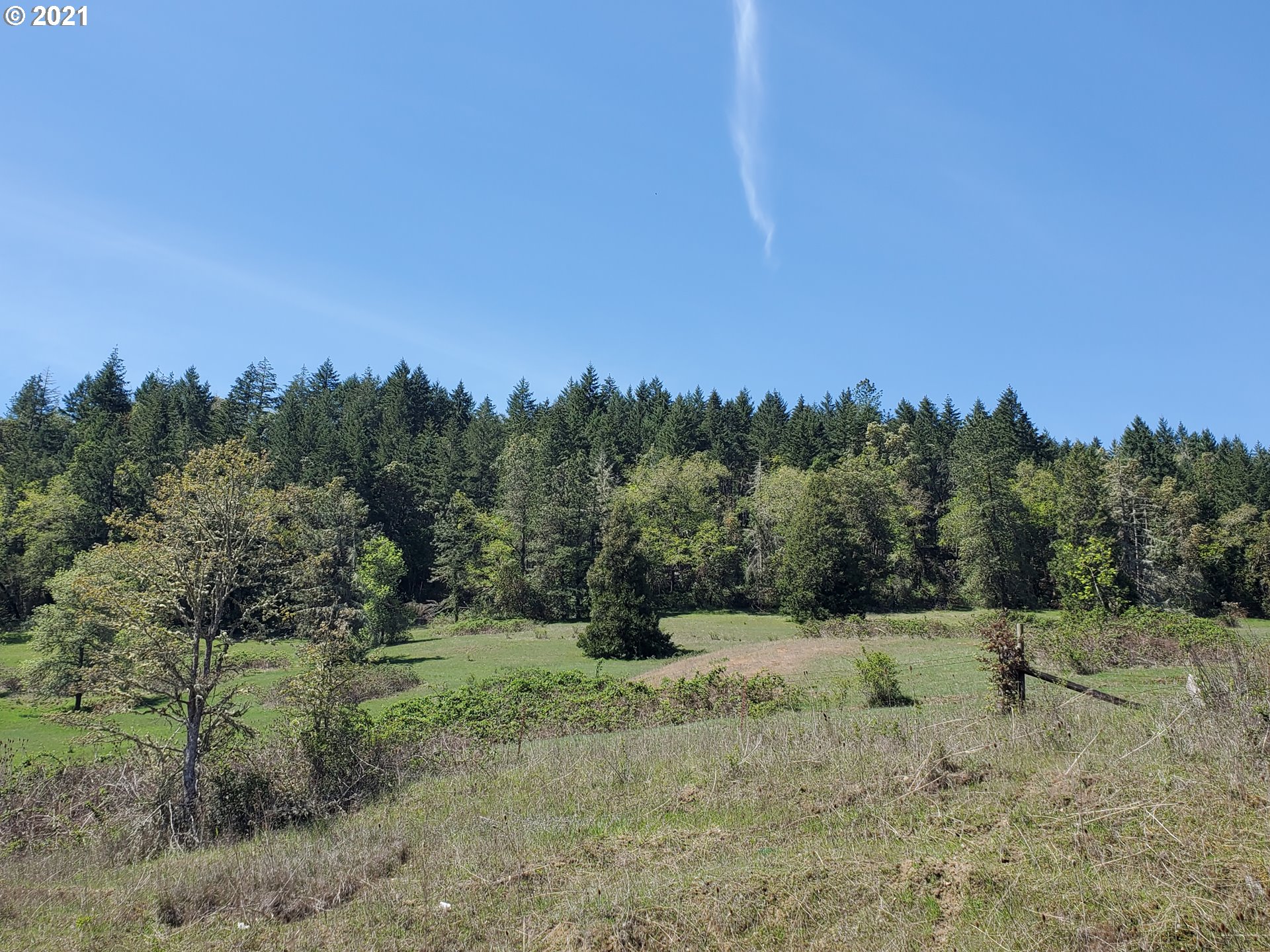 4189 Upper Olalla Road Winston, OR 97496 - Photo 25 of 32 a view of a dry yard with trees in the background