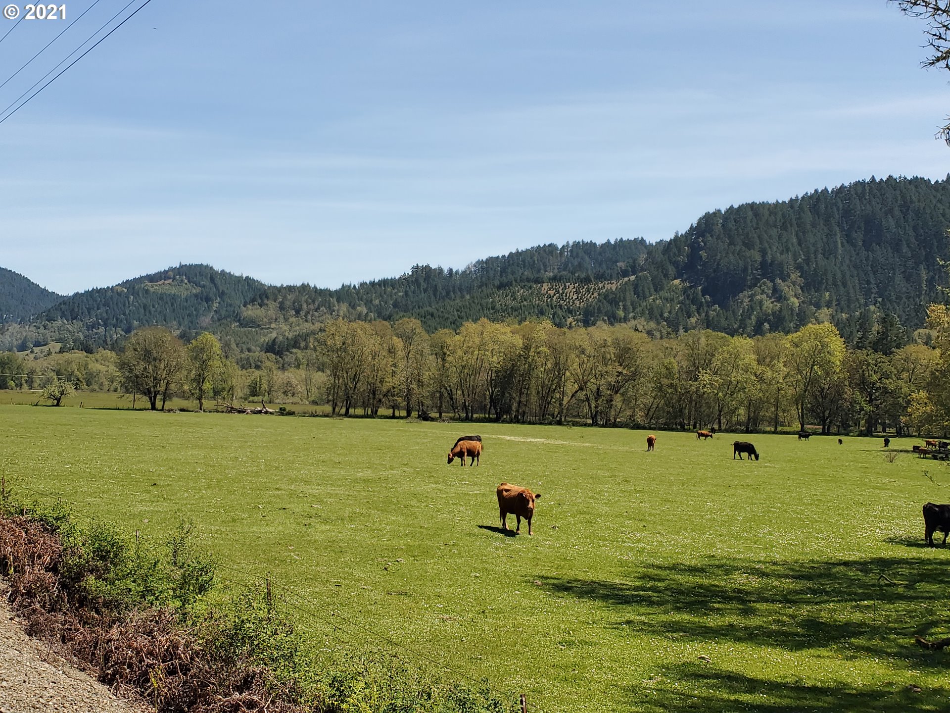 4189 Upper Olalla Road Winston, OR 97496 - Photo 4 of 32 a view of a lake with mountains in the background