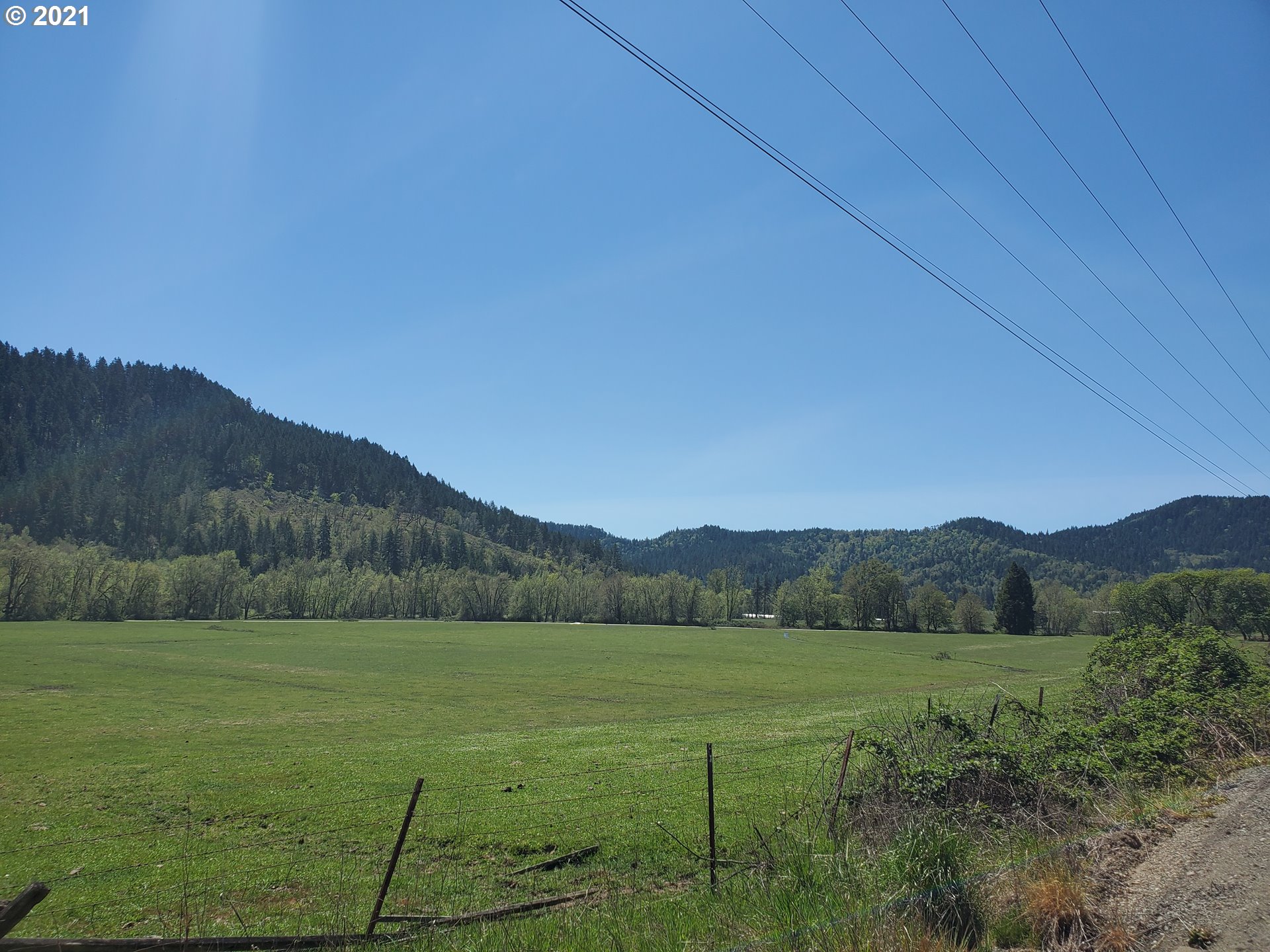 4189 Upper Olalla Road Winston, OR 97496 - Photo 5 of 32 a view of a lush green field