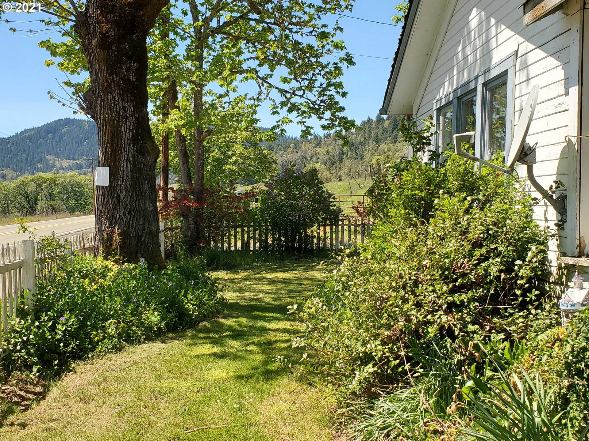 4189 Upper Olalla Road Winston, OR 97496 - Photo 7 of 32 a view of a garden