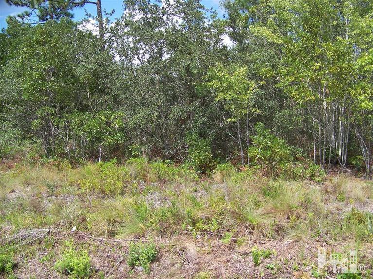1201 Adams Road Southport, NC 28461 - Photo 1 of 1 Primary Photo