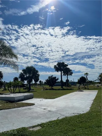a view of a yard with plants