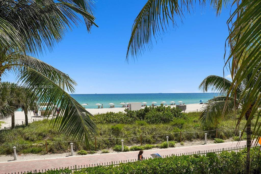 6039 Collins Avenue, Unit 1402 Miami Beach, FL 33140 - Photo 38 of 45 a view of a yard and palm trees