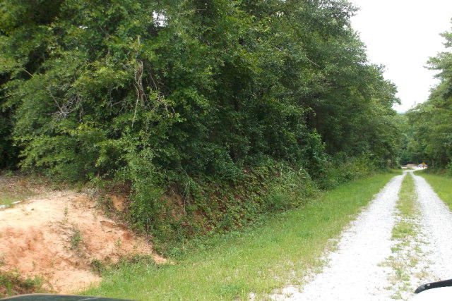 8 Knight Road Waynesboro, GA 30830 - Photo 2 of 2 Gallery Image 2