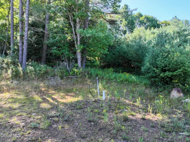 $439,000 | L39 Off Flowers Way, Long Lake, NY 12847