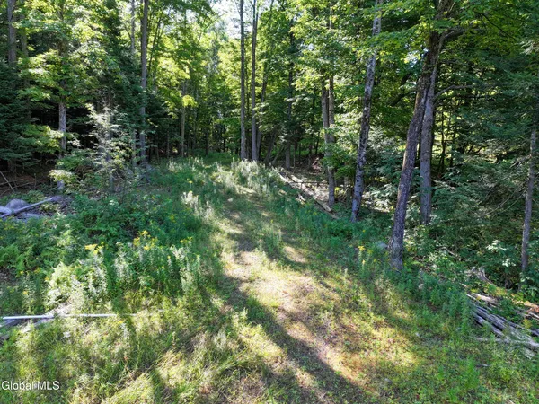 $439,000 | L39 Off Flowers Way, Long Lake, NY 12847