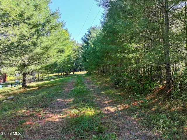 $439,000 | L39 Off Flowers Way, Long Lake, NY 12847