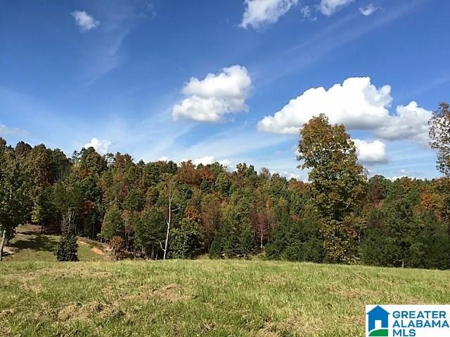 1785 Nunnally Lake Road Ohatchee, AL 36271 - Photo 39 of 50