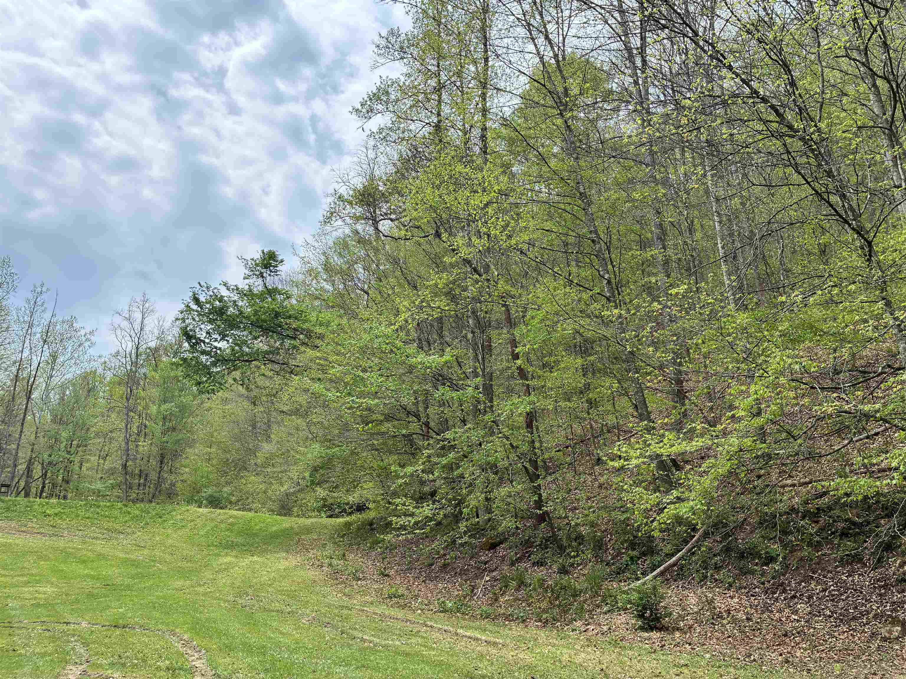 Donithan Rd Road Louisa, KY 41230 - Photo 3 of 7