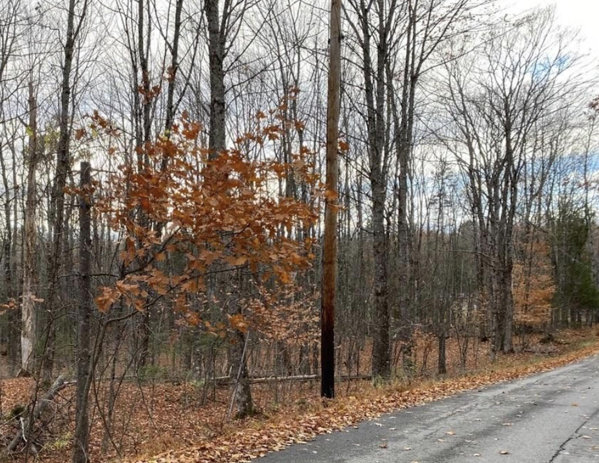 Lot 18 Shore Road Dexter, ME 04930 - Photo 3 of 6