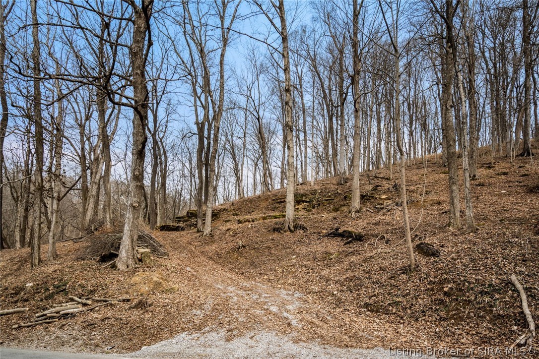 0 Rose Island Road Prospect, KY 40059 - Photo 2 of 28