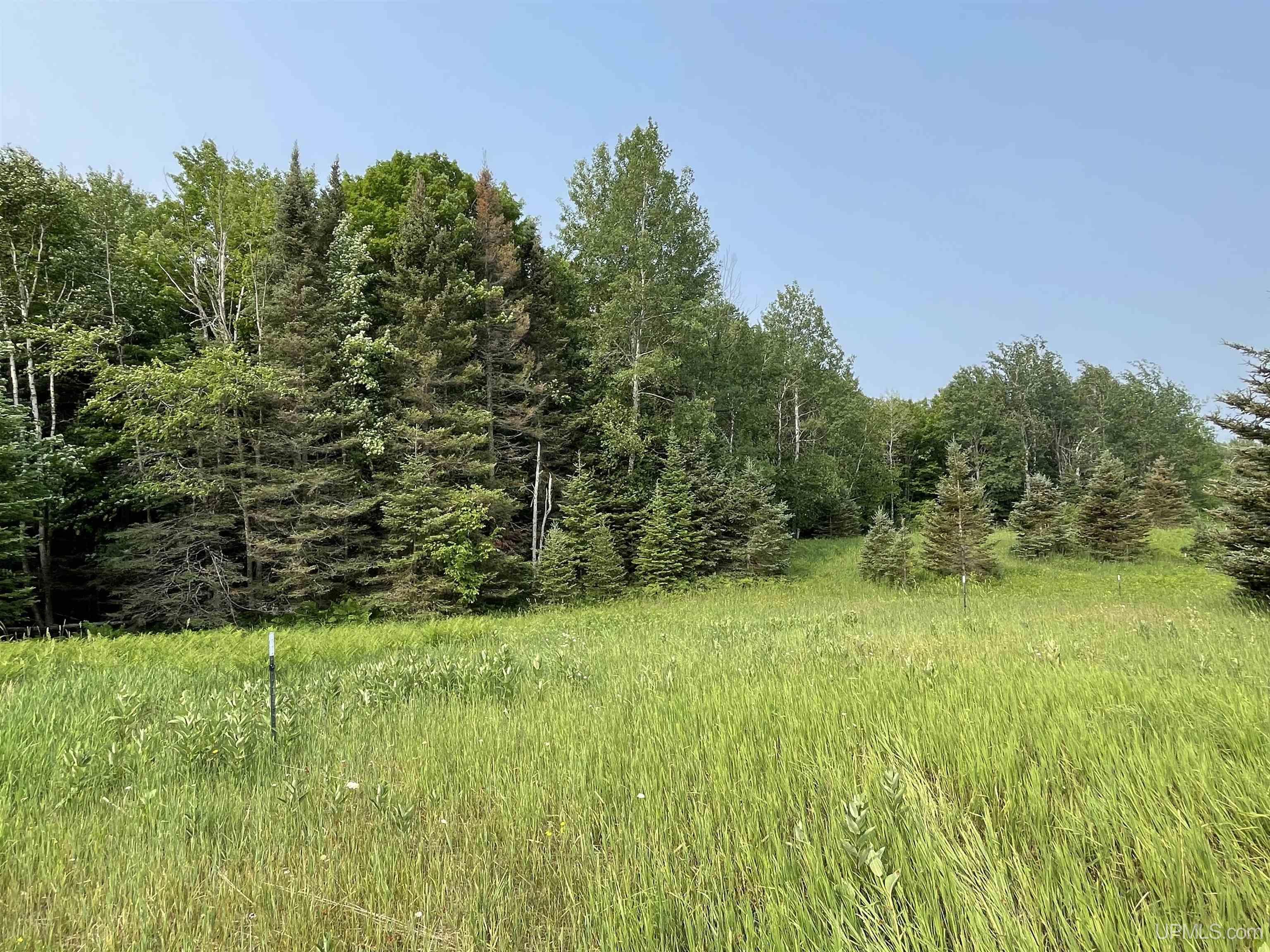 Tbd Kallio Road Trenary, MI 49891 - Photo 4 of 51 Gallery Image 4