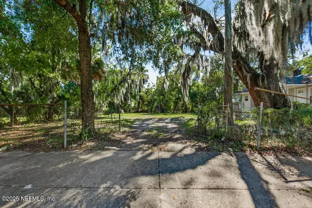 a view of a park with large trees