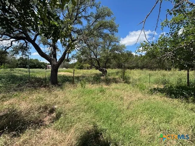 a view of a garden with a tree