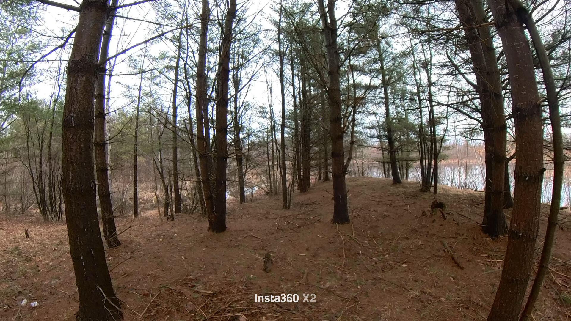 0 20 20 Mile Road Tustin, MI 49688 - Photo 14 of 53 Snapshot_202604100_210423