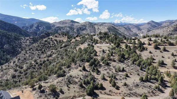 a view of a dry yard with lots of trees