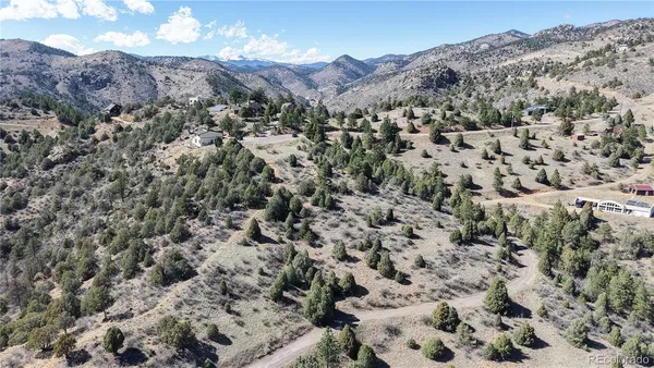 a view of a forest with mountains in the background
