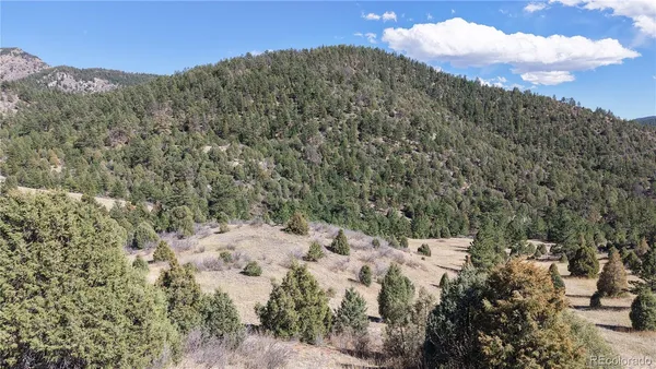 a view of a dry yard with mountains in the background