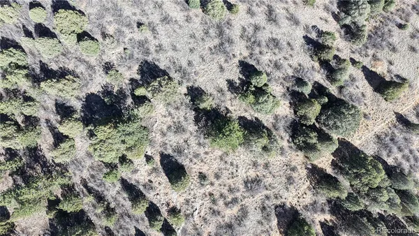 a view of a plant with a yard
