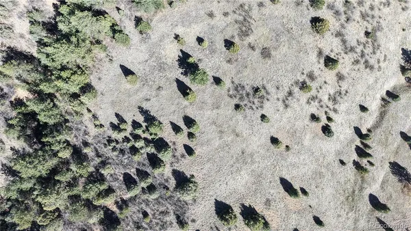 a view of a backyard of a house