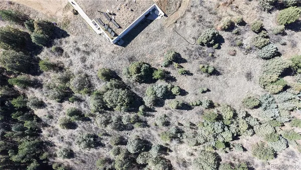 view of a yard with a tree