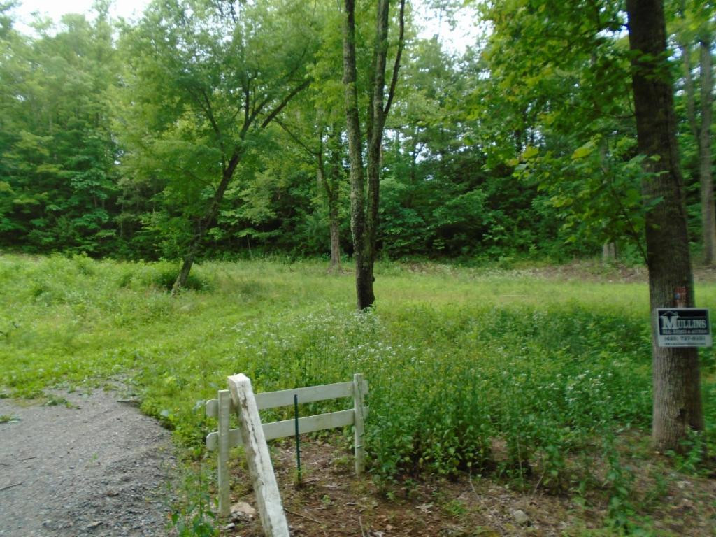 0 Pandora Fork Road Butler, TN 37640 - Photo 1 of 2 Photo 1