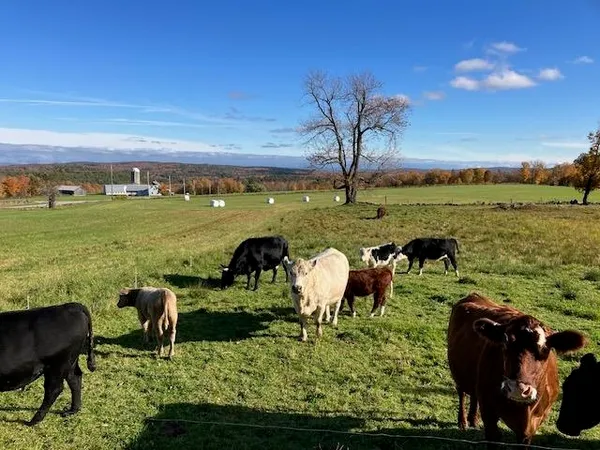 $349,900 | 1192 Chapel Hill Road, Whitingham, VT 05361