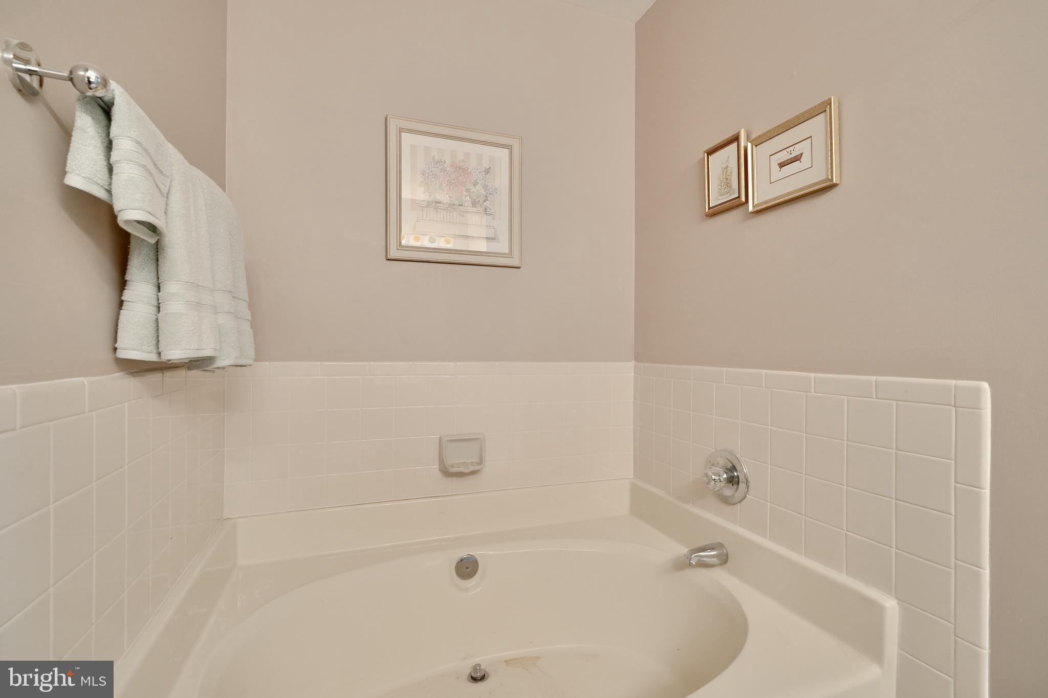 793 Eastern Point Road Annapolis, MD 21401 - Photo 20 of 44 Large soaking tub