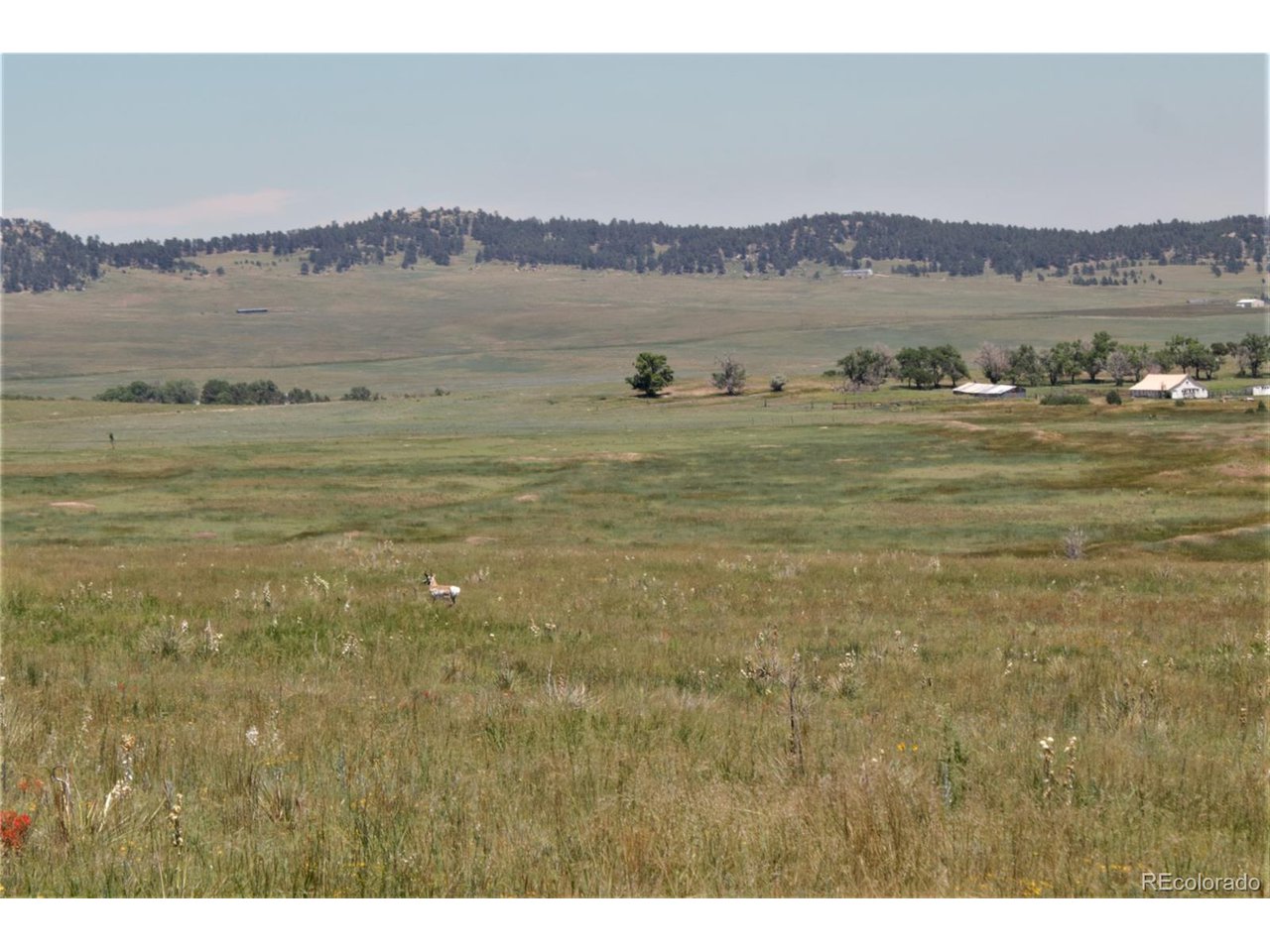 22 Sweet Road Calhan, CO 80808 - Photo 5 of 9