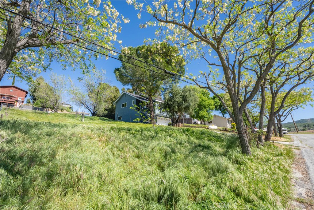 42640 Ranch Club Road Lake Hughes, CA 93532 - Photo 20 of 27