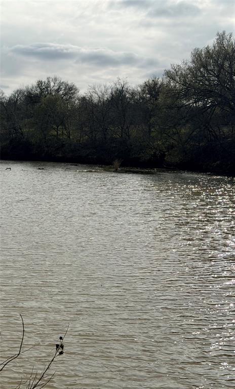 402 County Road 433 Mullin, TX 76864 - Photo 6 of 10 a view of terrace with lake