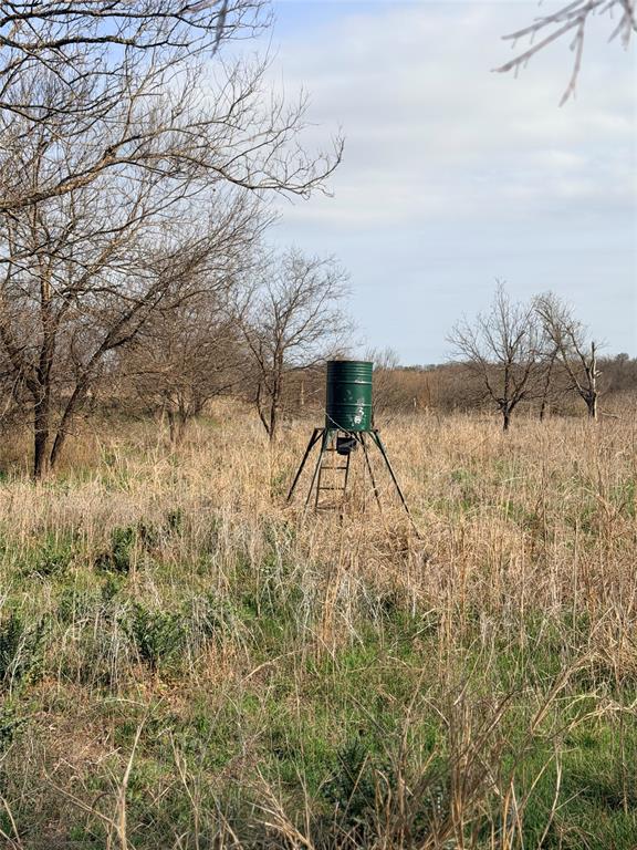 402 County Road 433 Mullin, TX 76864 - Photo 9 of 10 a view of a lake