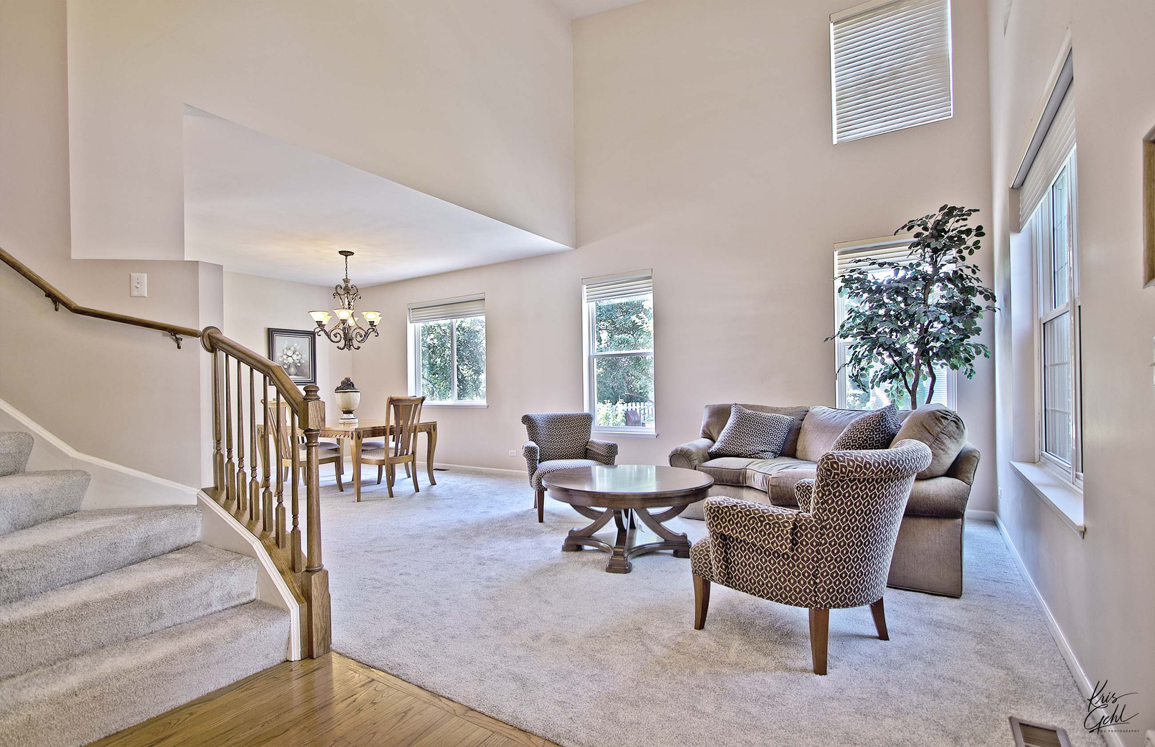 515 Capital Lane Gurnee, IL 60031 - Photo 2 of 32 a living room with furniture and a window